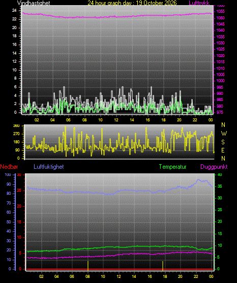 24 Hour Graph for Day 19